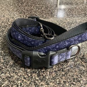 Like new, Disney Haunted Mansion Dog Leash and Collar